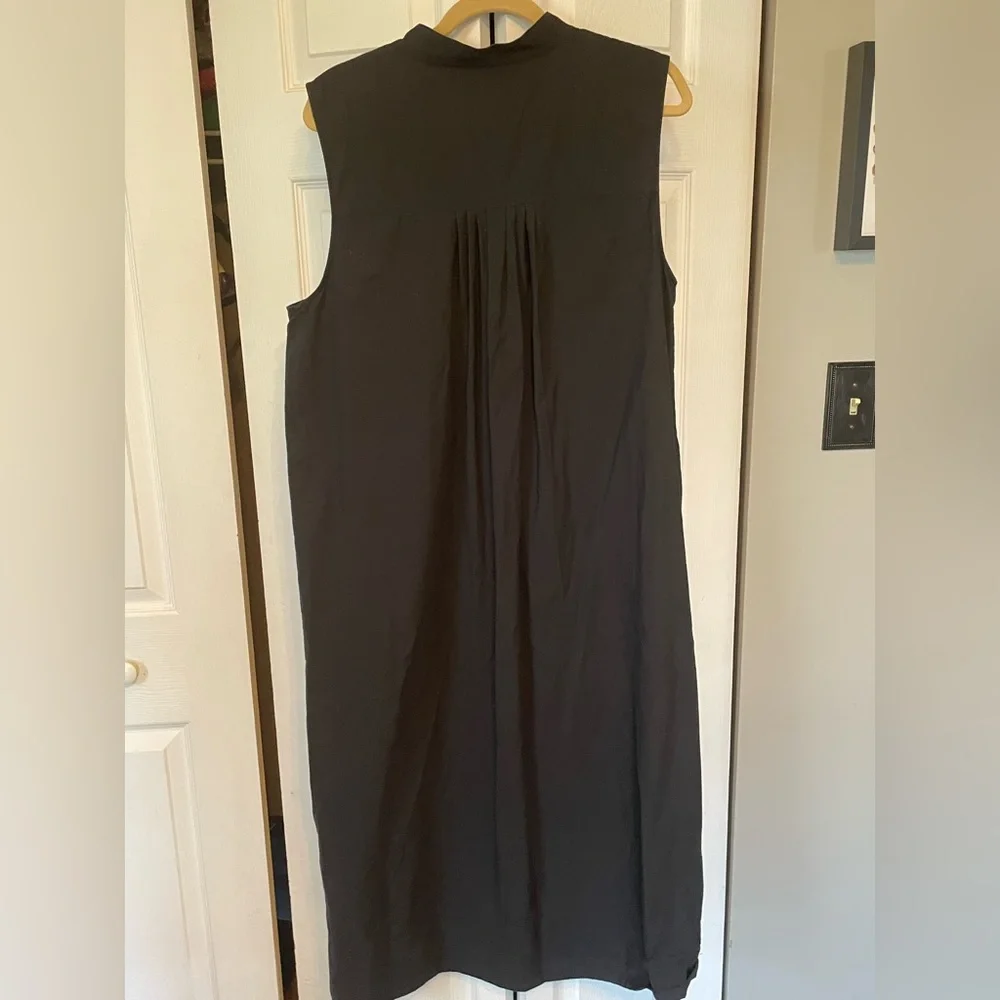 Banana Republic Black Sleeveless Dress - Picture 6 of 6